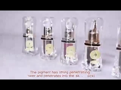 เม็ดสีสักแต่งหน้าถาวร